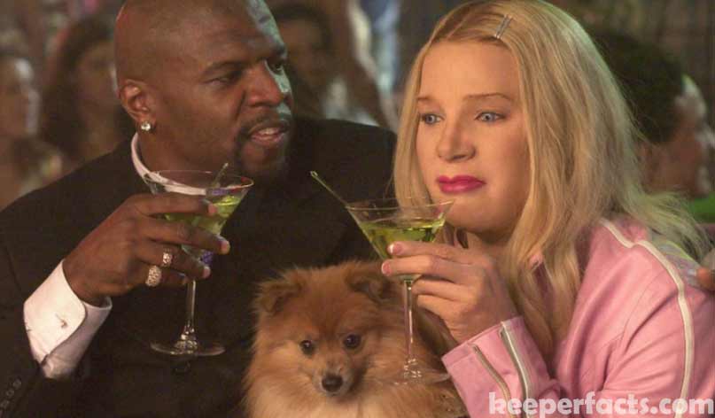 White Chicks 2 - After 17 Years, What Can We Expect? 1