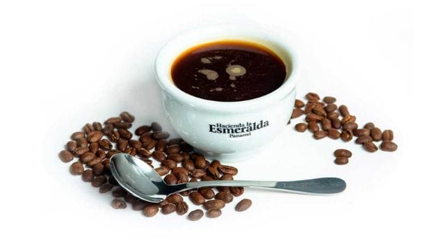Top 5 Most Expensive Coffee in the World!