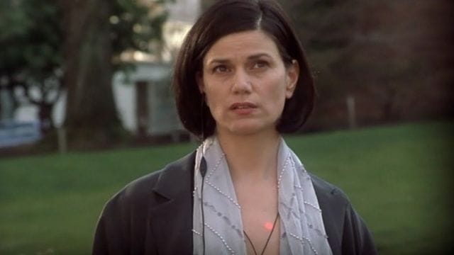  Linda Fiorentino Net Worth 2022: Check Out His Personal Life!