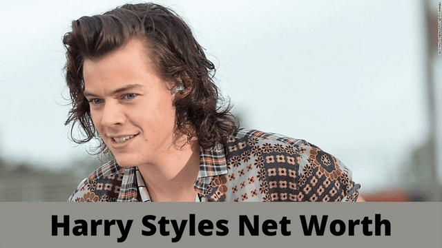 Harry Styles Net Worth