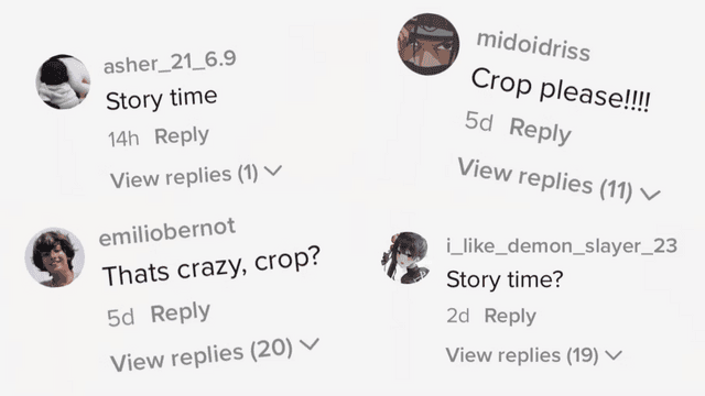What Does Crop Mean on Tiktok? Here's Everything You Need to Know