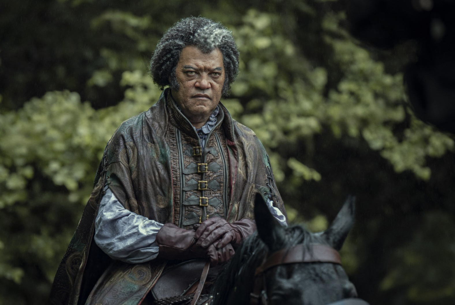 Laurence Fishbourne in The Witcher Season 4